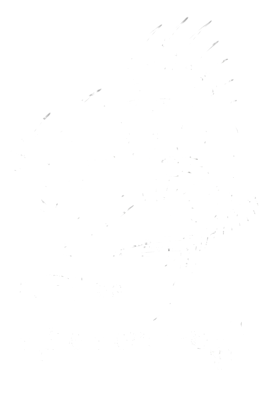 Schnittes Pike Perch Bait